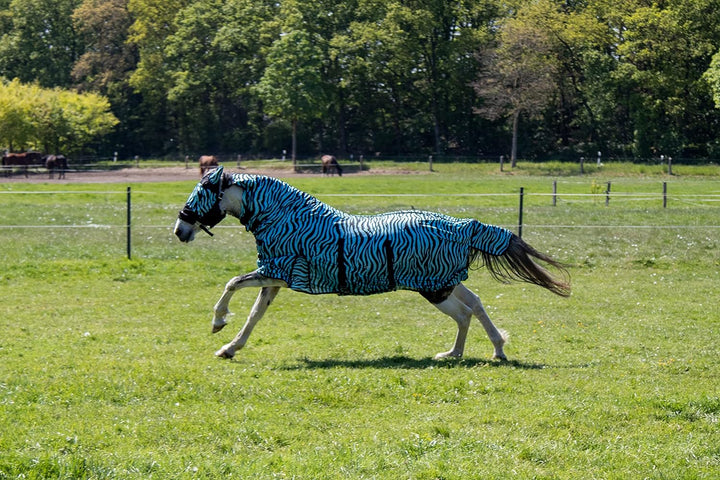HKM Zebra Aqua Fliegendecke mit Halsteil, Aqua/Schwarz, 125 Grösse