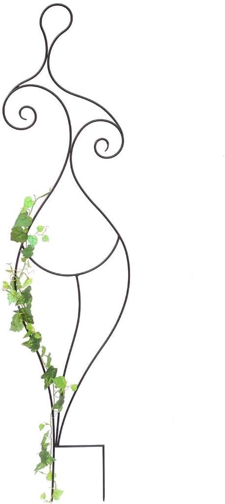 DanDiBo Design Rankhilfe Metall Rankgitter 140 cm Schwarz Frau Lora Kletterhilfe Bodenstecker Blumen