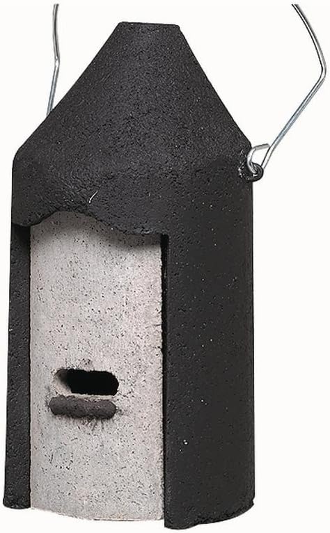 Fledermaushöhle 2 F 16x33 cm