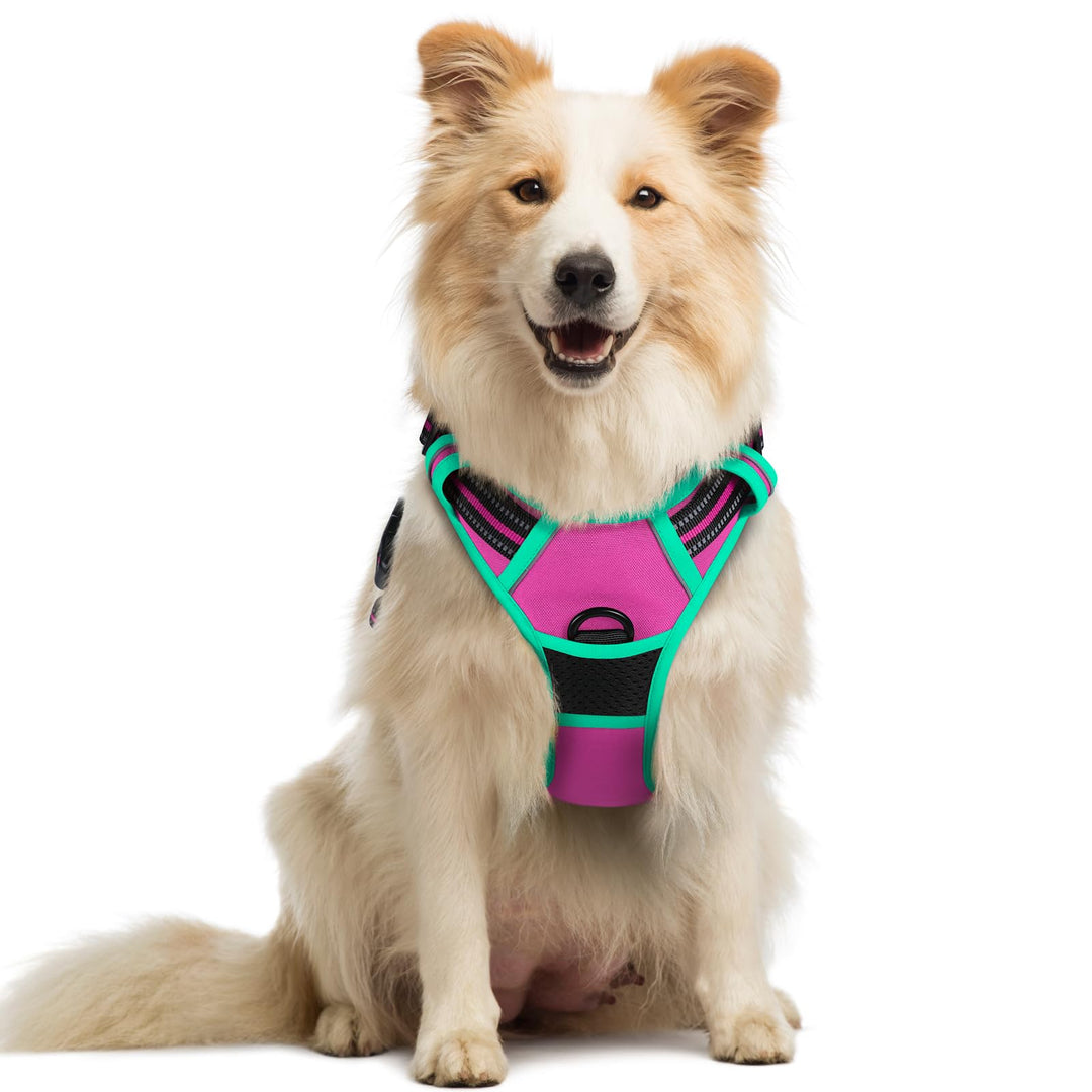 rabbitgoo Hundegeschirr Mittelgrosse Hunde, Anti Zug Geschirr mit Kontrolle, No Pull Verstellbar Hun