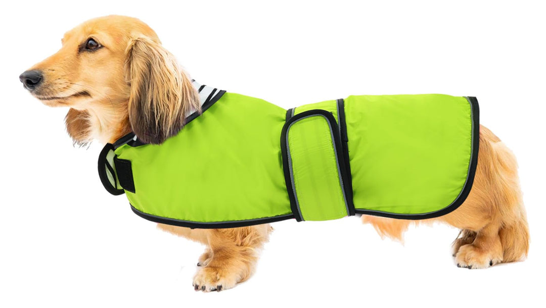 Geyecete Hunde Regenmantel,Einstellbar Wasserdicht Hundejacke für Dackel,Regenmantel mit reflektiere