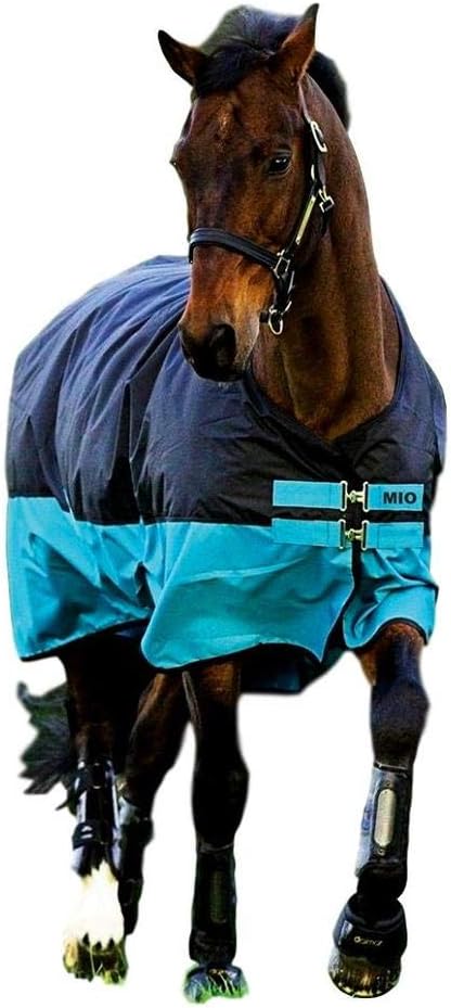 Horseware Amigo Mio Turnout medium black turquoise Weidedecke Winterdecke 4'0, 4'0