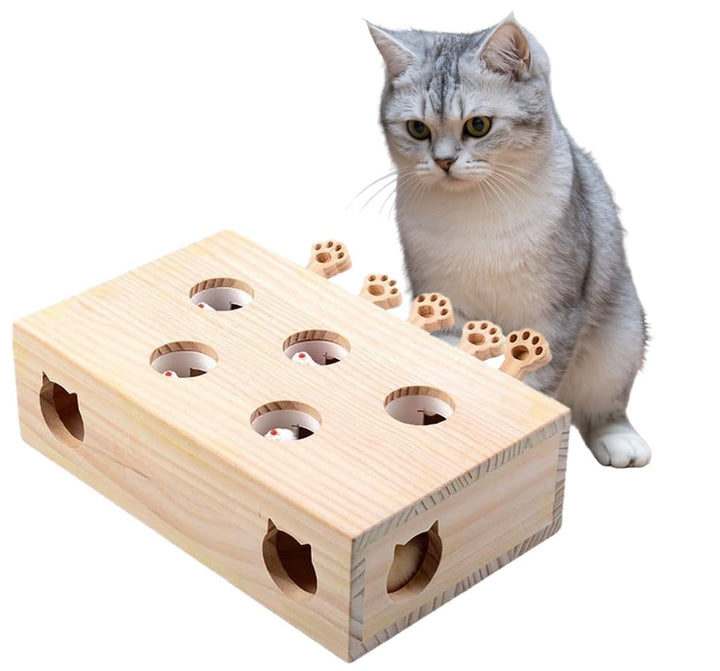 Interaktives Katzenspielzeug, Holz, Spielzeug, Maulwurf Maus, Puzzle Box mit süssen Cartoon Spielzeu