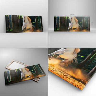 Wandbilder Dekoration Wohnzimmer Staub Emotionen Pferd Natur Panorama Bilder auf Leinwand 120x50cm L