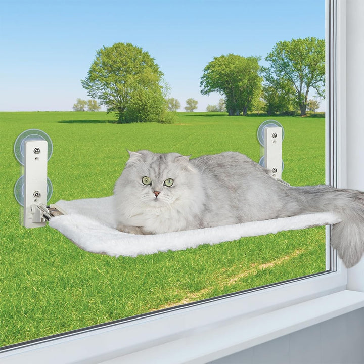 Kabelloser, zusammenklappbarer Katzenfenstersitz mit 4 Saugnäpfen. Stabiler Rahmen für Glasfenster u