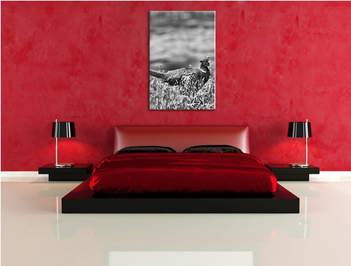 Pixxprint Fasan auf Frühlingswiese / 100x70cm Leinwandbild bespannt auf Holzrahmen/Wandbild Kunstdru