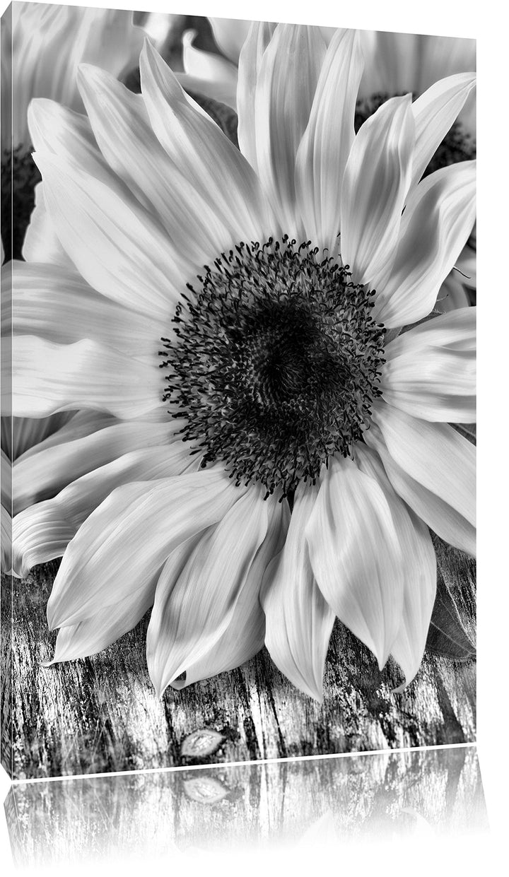 Pixxprint Monocrome, Sonnenblumen auf altem Holztisch, Format: 100x70 auf Leinwand, XXL riesige Bild