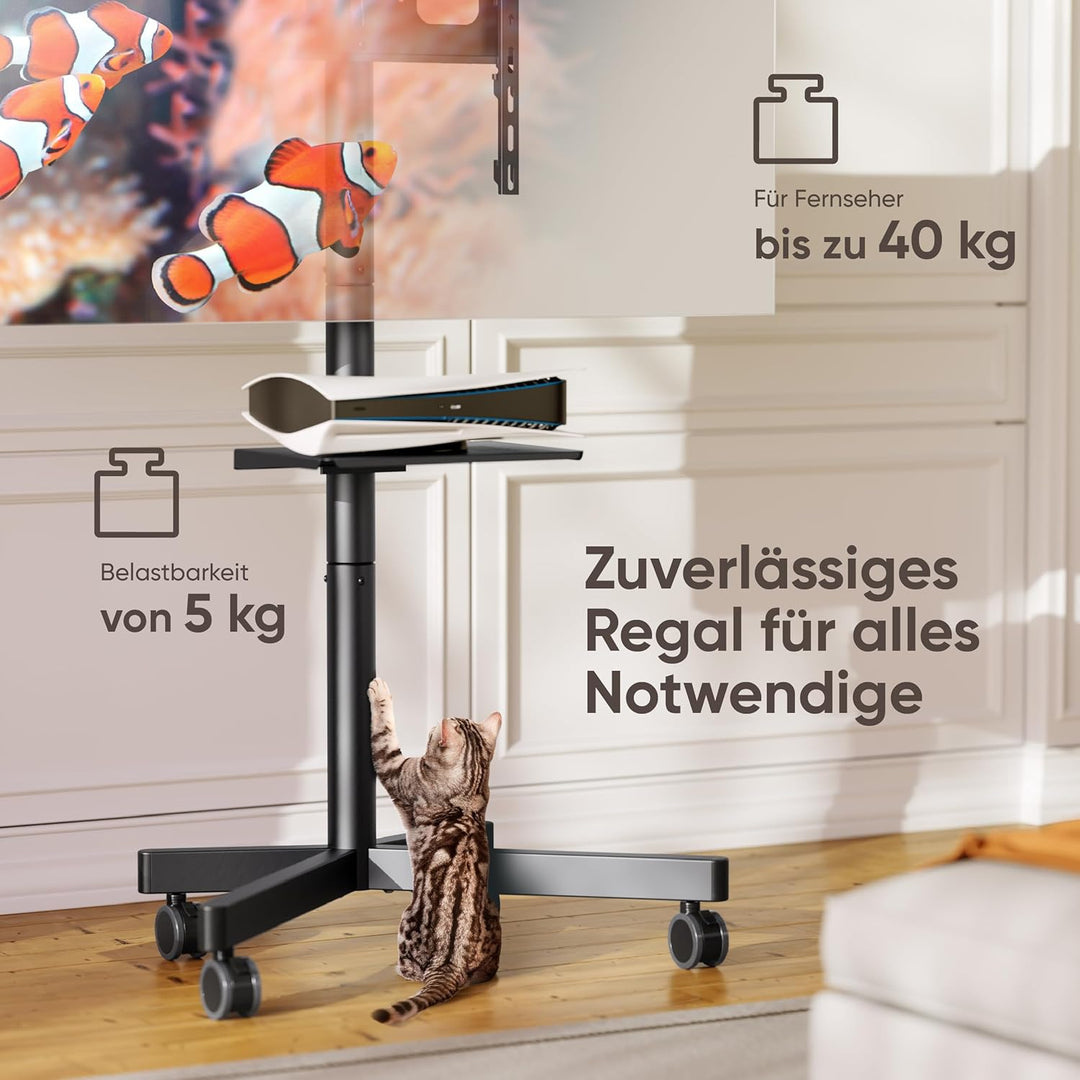 ONKRON Mobiler TV Ständer rollbar für 23-60 Zoll Bildschirme bis zu 40 kg - TV Standfuss höhenverste