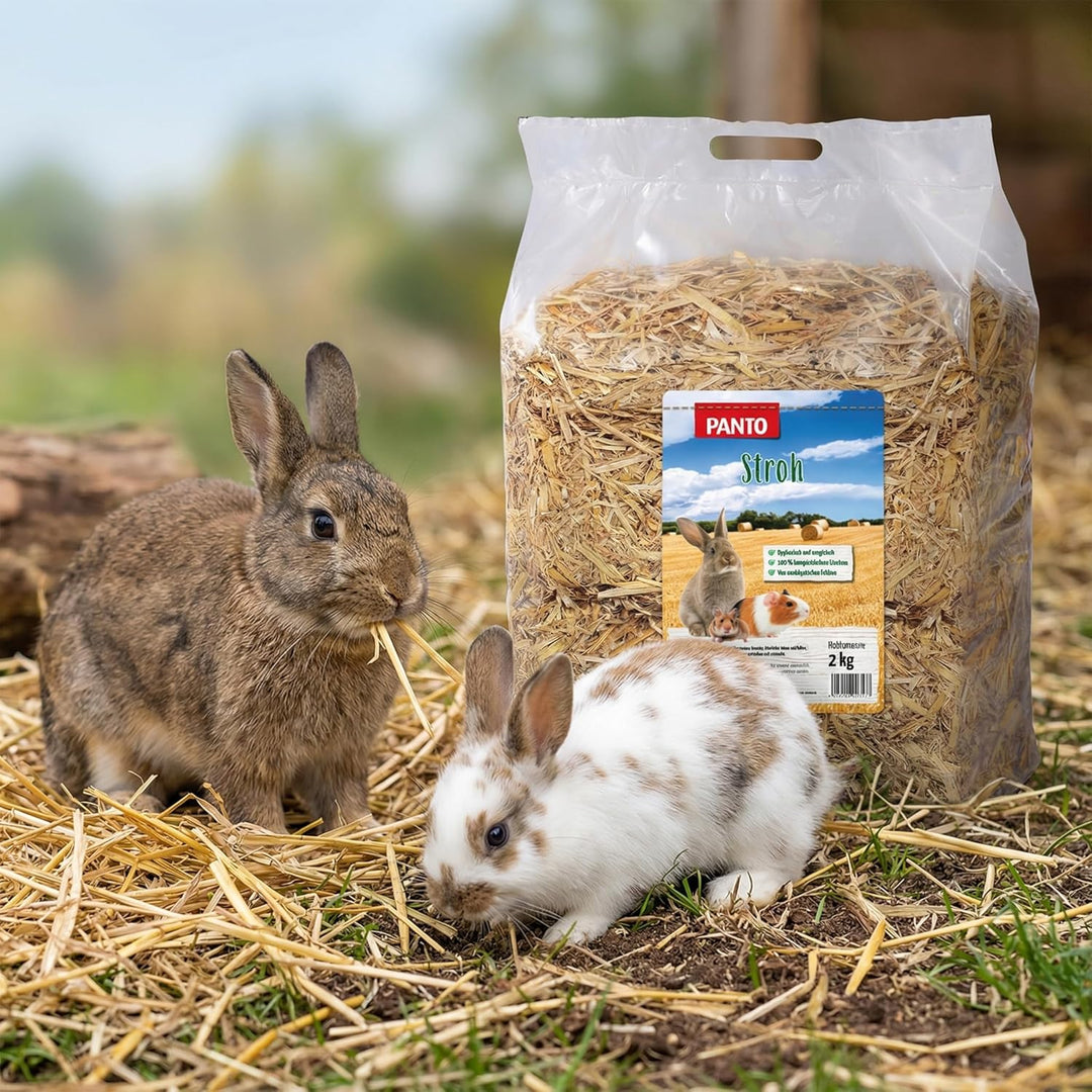 PANTO Stroh 2 kg – goldgelbes entstaubtes Stroh fü̈r Kaninchen und Nager, ideal als Einstreu, zum Ne