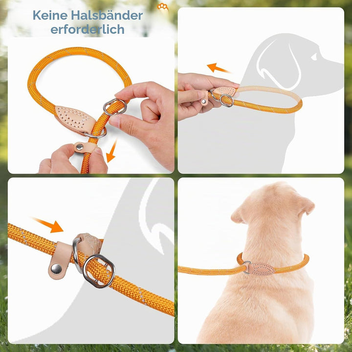 Grand Line Retrieverleine mit Zugstopp, 150 cm Moxonleine Reflektierende Hundeleine, Sicher Dauerhaf