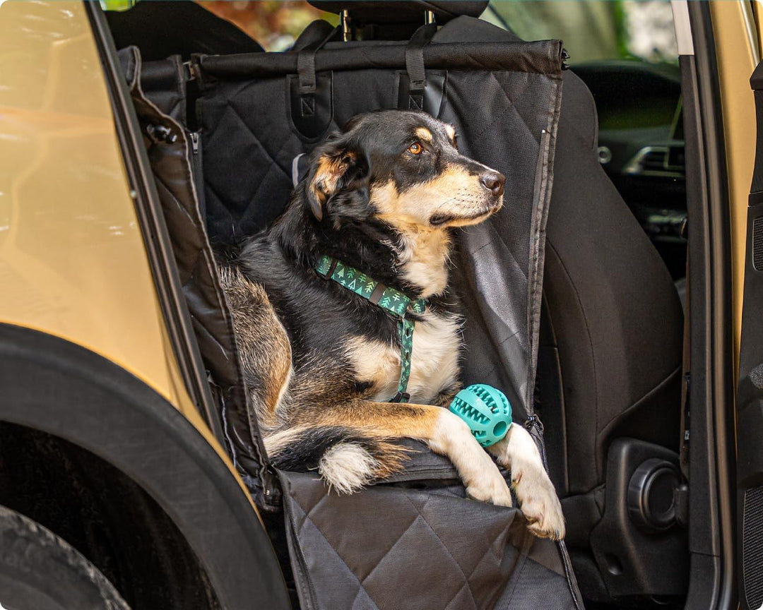 RAGI Hunde Autositz mit Hundegurt - Verstärkter und Stabiles - Hundeautositz für Den Rücksitz im Aut