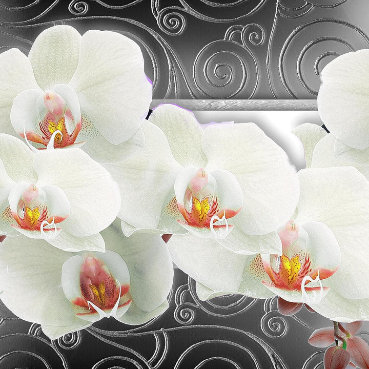 Runa Art Wandbilder Blumen Orchidee 5 Teilig Bild auf Vlies Leinwand Deko Wohnzimmer Abstrakt Grau W