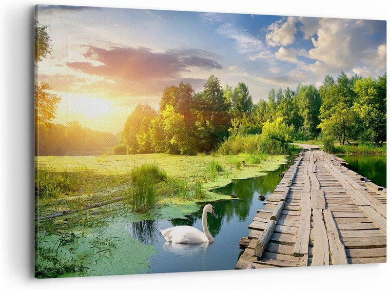 Bilder auf Leinwand 100x70cm Leinwandbild Architektur Promenade Schwan Landschaft Gross Wanddeko Bil