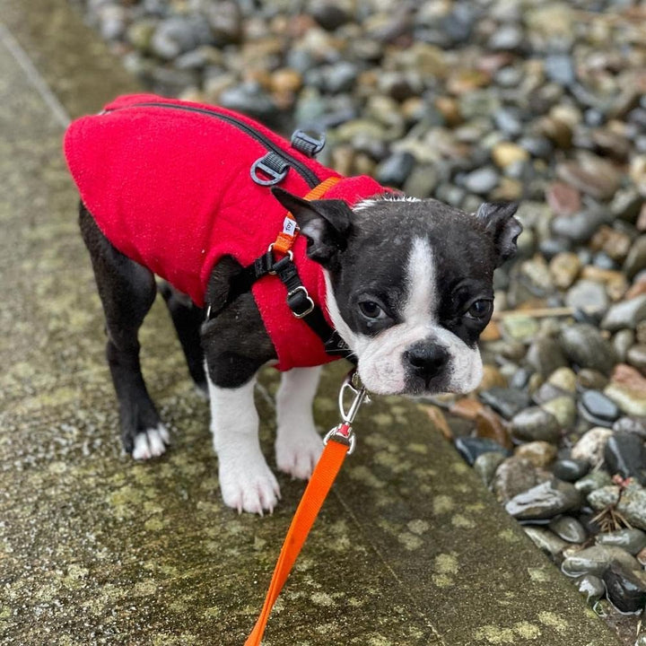 Gooby Zip Up Fleece-Weste für kleine Hunde rot xs, rot xs