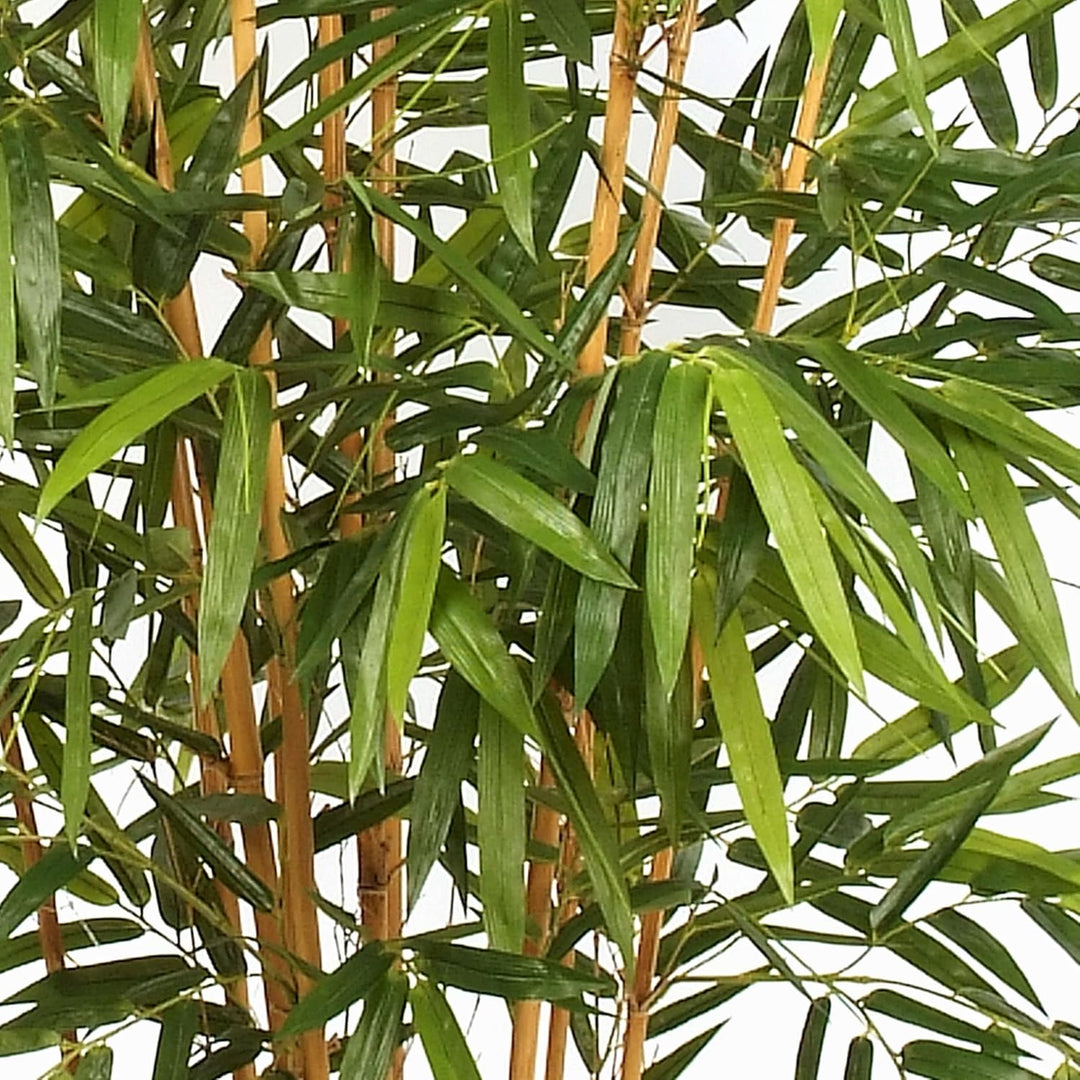 artplants.de Künstlicher XL Bambus FUDO, 1885 grosse Blätter, grün, 300cm - Kunst Bambus - Deko Pfla