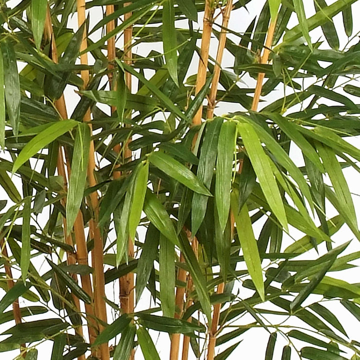 artplants.de Künstlicher XL Bambus FUDO, 1885 grosse Blätter, grün, 300cm - Kunst Bambus - Deko Pfla