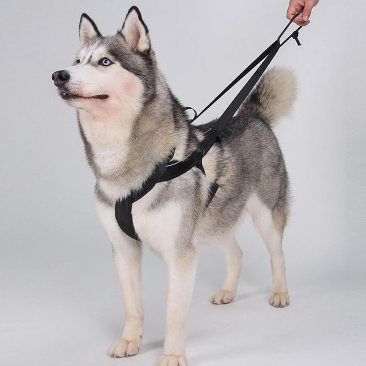 Hundegeschirr zum Ziehen | Reflektierendes Laufgeschirr für Hunde | Bequemer, Verstellbarer Gurt für