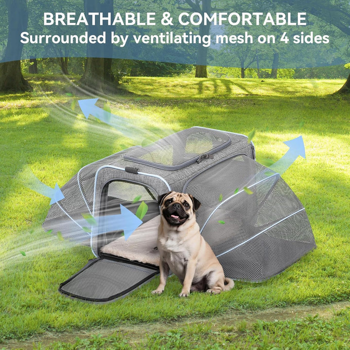 Petsfit Faltbarer Transporttasche Katze und Hund,erweiterbare Katzentransportbox mit Schultergurt Hu