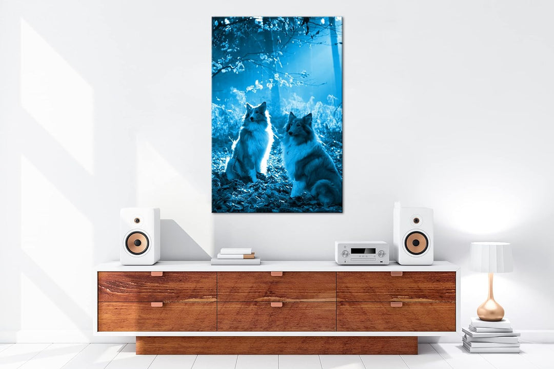 deyoli zwei treue Collies im Wald Format 80x60 Effekt: Monocrome Blau als Leinwandbild, Motiv fertig