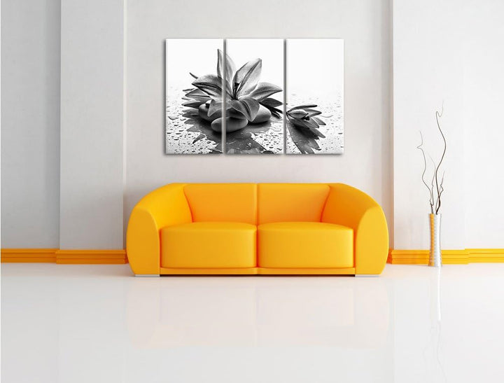 Pixxprint Monocrome, Düstere Lilie mit Zen Steinen 3-Teiler Leinwandbild 120x80 Bild auf Leinwand