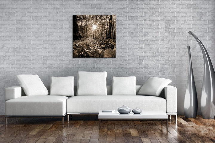 sonniger Tag im Wald Effekt: Sepia, Format: 60x60 als Leinwandbild, Motiv fertig gerahmt auf Echthol