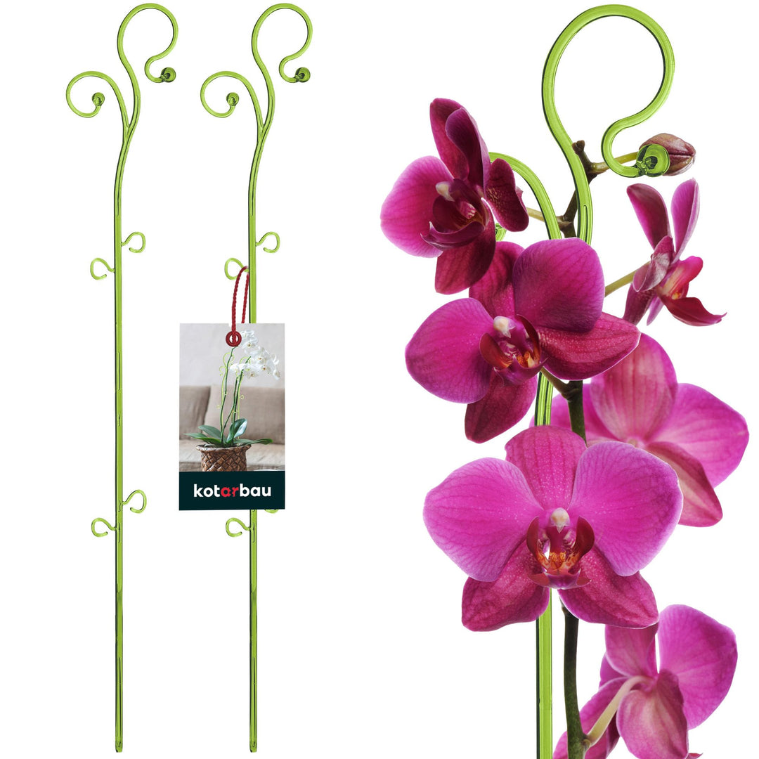 KOTARBAU® 2er Set Pflanzenstütze Grün PVC 58 cm Blumenstütze Rankhilfe Zimmerpflanzen Blumenstütze G