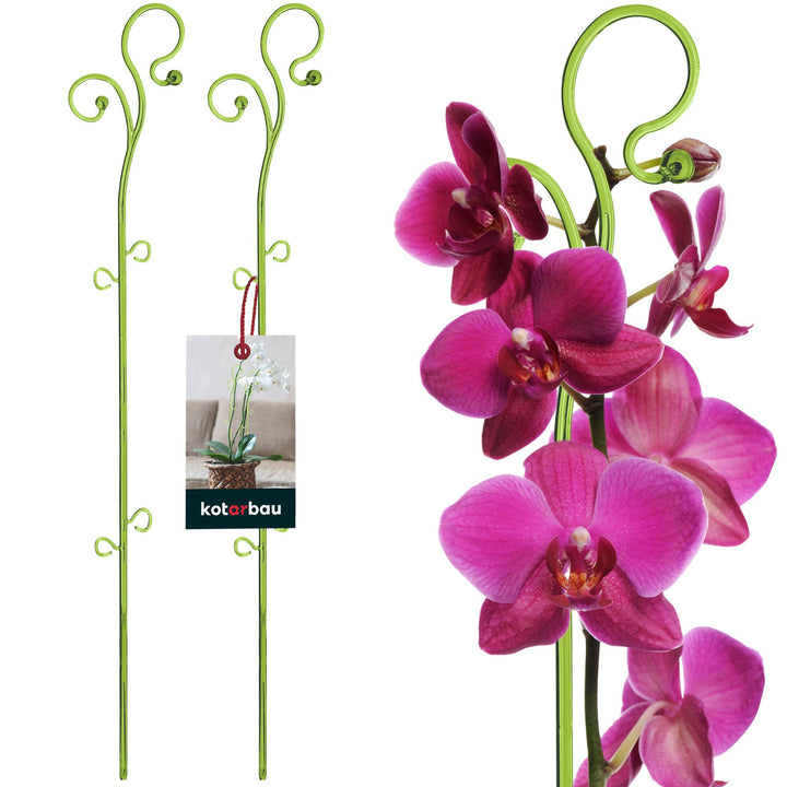 KOTARBAU® 2er Set Pflanzenstütze Grün PVC 58 cm Blumenstütze Rankhilfe Zimmerpflanzen Blumenstütze G