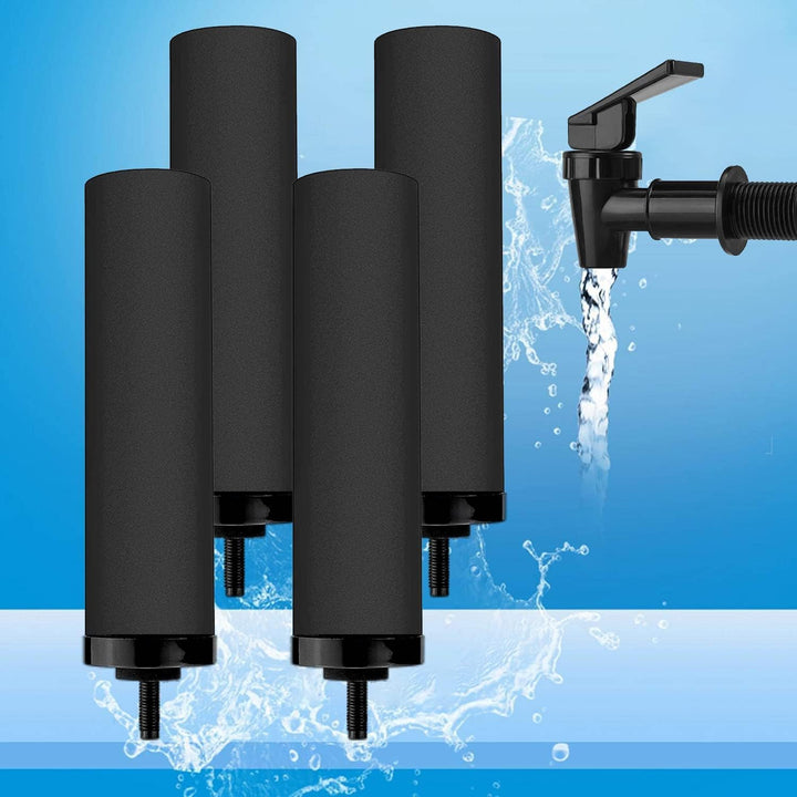HUINING 4 Stück schwarze Wasserfilter für Wasseraufbereitungseinheit, Wasserfilter, Ersatz für Haush