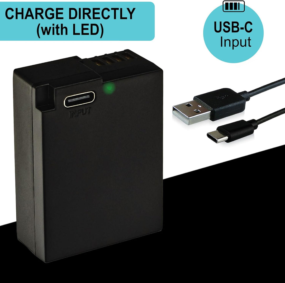 PATONA Platinum DMW-BLC12 E USB Akku 1100mAh mit direktem USB-C Eingang (1402) DC FZ1000 II G91 DMC