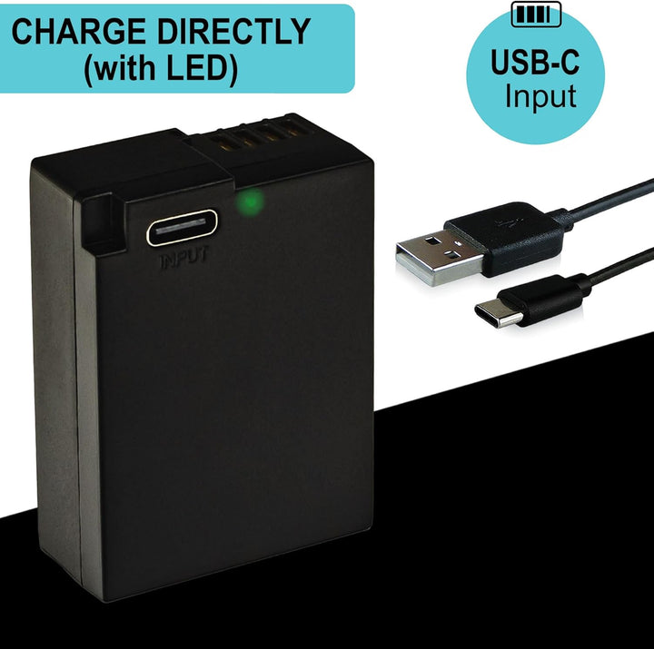 PATONA Platinum DMW-BLC12 E USB Akku 1100mAh mit direktem USB-C Eingang (1402) DC FZ1000 II G91 DMC