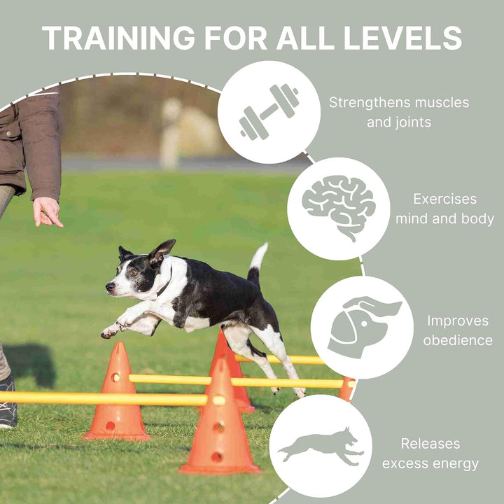Trixie 32091 Dog Activity Hindernisse, 3 St., ø 23 × 30 cm/78 cm, orange/gelb, 3 St., ø 23 × 30 cm/7