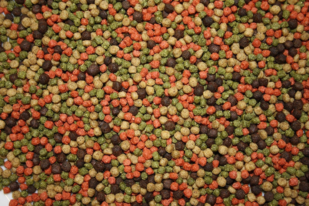 Koifuttermischung, Koifutter, Schwimmfutter, Premium Koimix, Teichfuttermix mit Spirulina, Astax, Pa