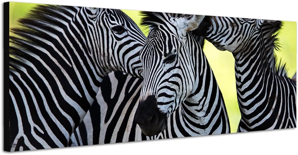 Paul Sinus Art Panoramabild auf Leinwand und Keilrahmen 150x50cm Afrika Zebras Wildnis Safari