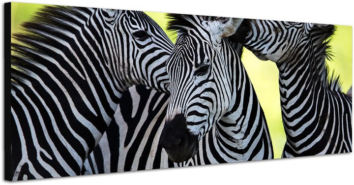 Paul Sinus Art Panoramabild auf Leinwand und Keilrahmen 150x50cm Afrika Zebras Wildnis Safari
