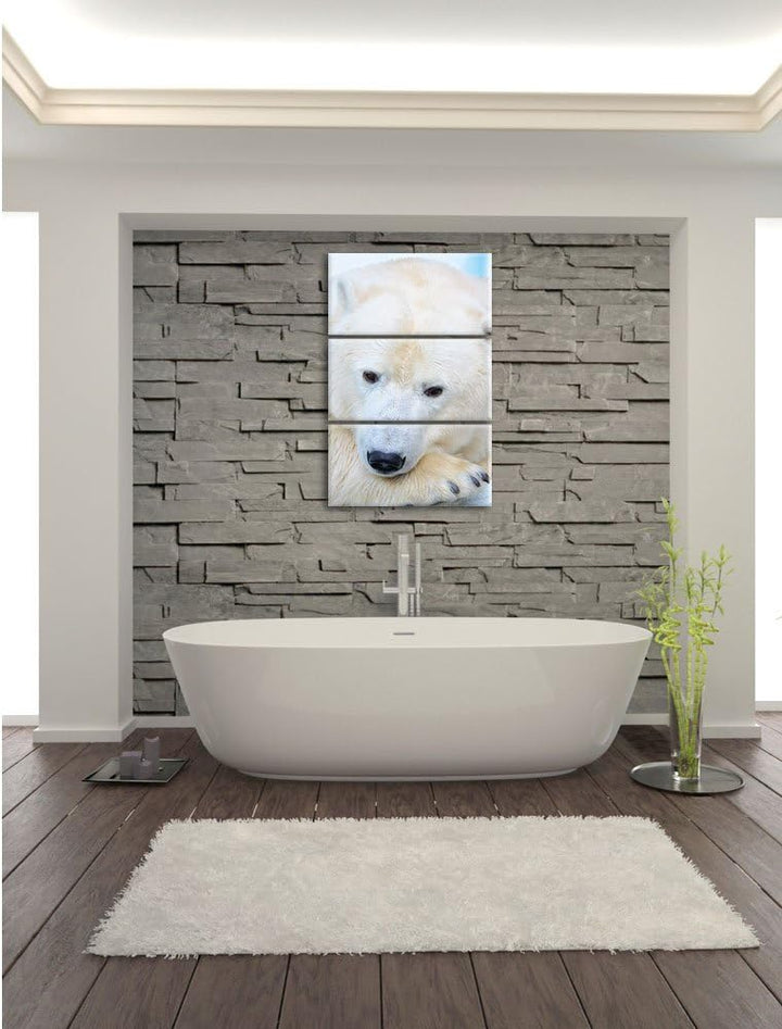 Pixxprint Nachdenklicher Eisbär 3-Teiler Leinwandbild 120x80 Bild auf Leinwand