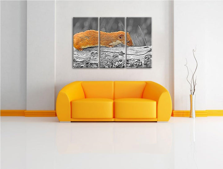 wildes kleines Frettchen schwarz/weiss Deluxe 3-Teiler Leinwandbild 120x80 Bild auf Leinwand, XXL ri