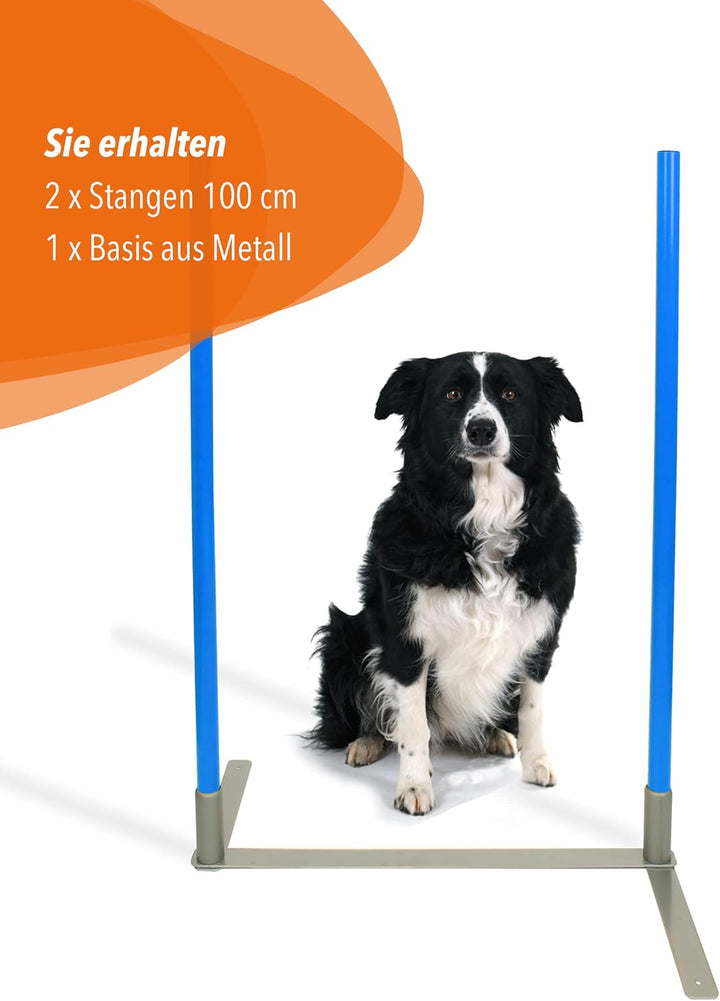 2by2 Weave Poles – Blau – 2er Set Agility-Slalomstangen mit Metallbasis – für Training & Parcoursauf