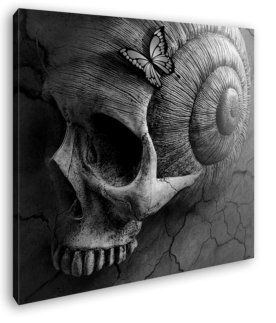deyoli Mystischer Totenschädel Format: 60x60 Effekt: Schwarz&amp;Weiss als Leinwandbild, Motiv fertig ge