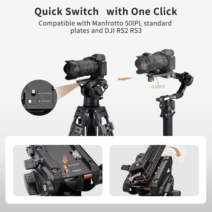 Cayer BF30L Video-Stativ mit Fluid-Kopf, 73" Heavy Duty Stativ mit 360 Grad Fluid-Kopf und Schnellwe