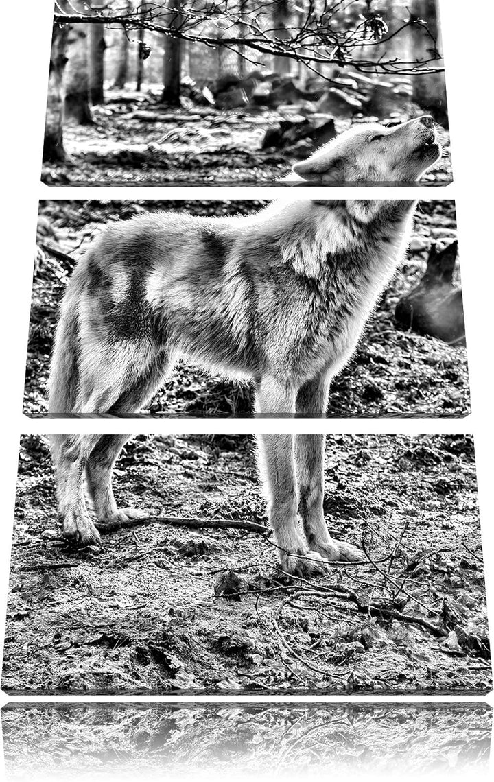 Pixxprint Monocrome, heulende Wölfe 3-Teiler Leinwandbild 120x80 Bild auf Leinwand