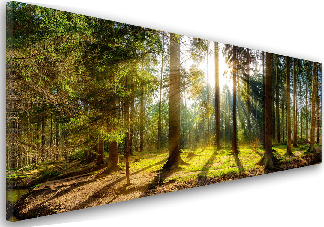 Feeby Bilder Wald Bäume Natur 90x30 cm Wohnzimmer Schlafzimmer Büro Flur Küche Wandbilder Modern Bil