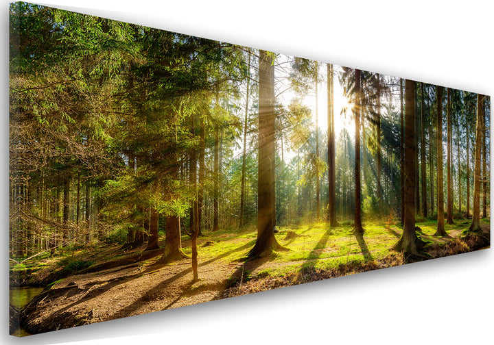 Feeby Bilder Wald Bäume Natur 90x30 cm Wohnzimmer Schlafzimmer Büro Flur Küche Wandbilder Modern Bil