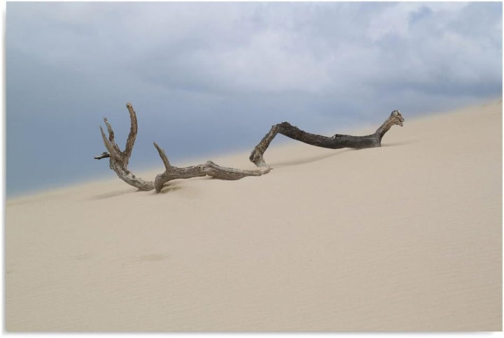 Feeby Frames. Wandbild - 1 Teilig - 60x80 cm, Leinwand Bild Leinwandbilder Bilder Wandbilder Kunstdr