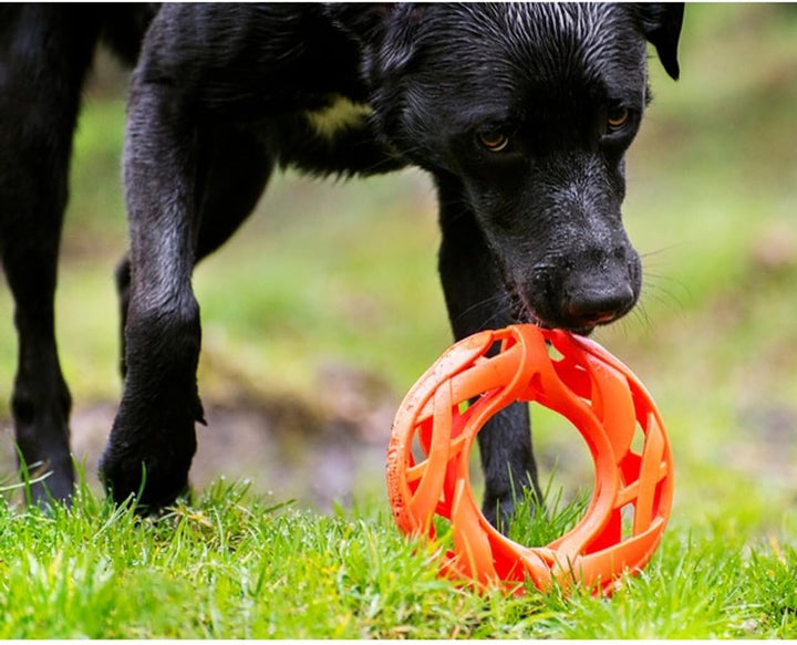 Chuckit! Breathe Right Apportierrad, Fetch Wheel Mehrfarbig Fetch Wheel, Mehrfarbig Fetch Wheel