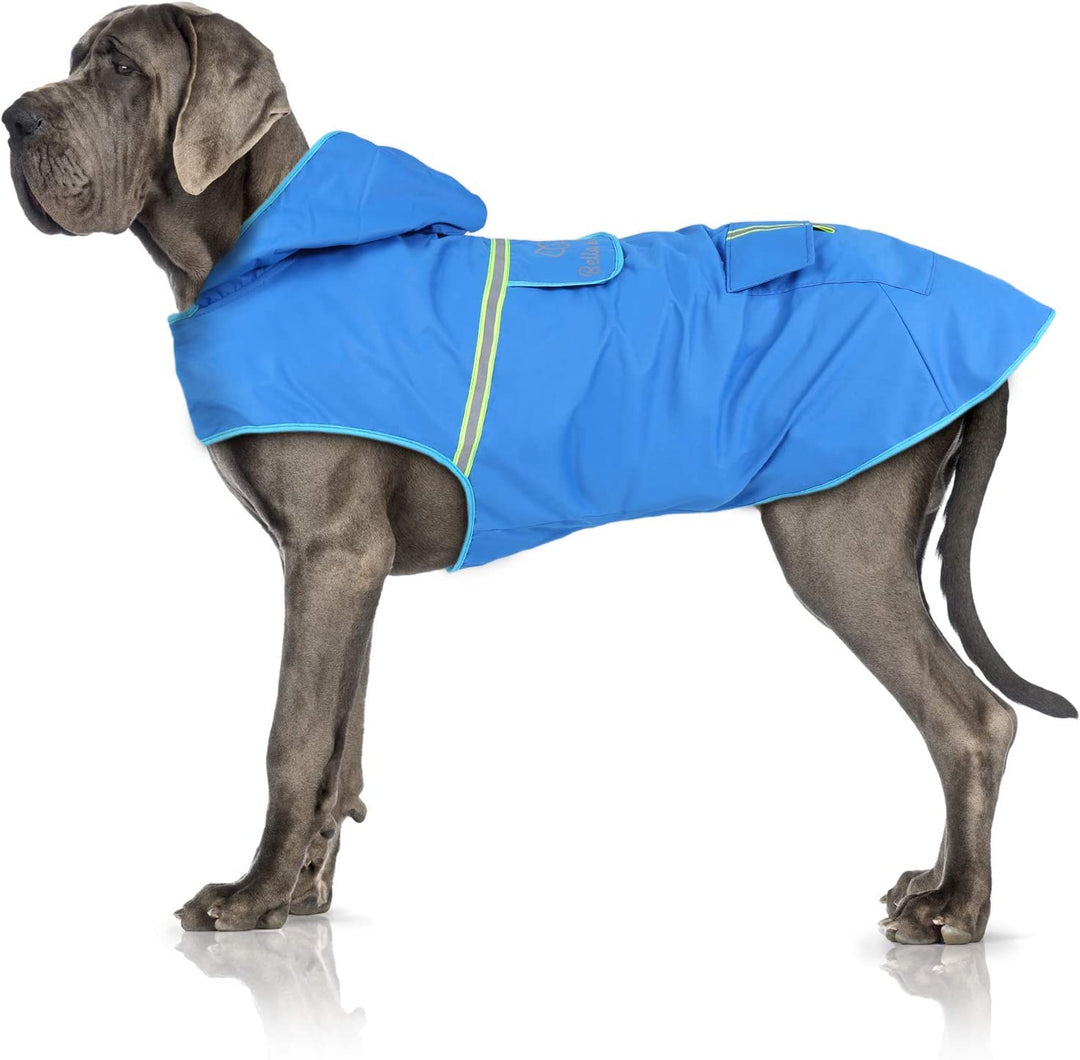 Bella & Balu Hunderegenmantel - Wasserdichter Hundemantel mit Kapuze und Reflektoren für trockene, s