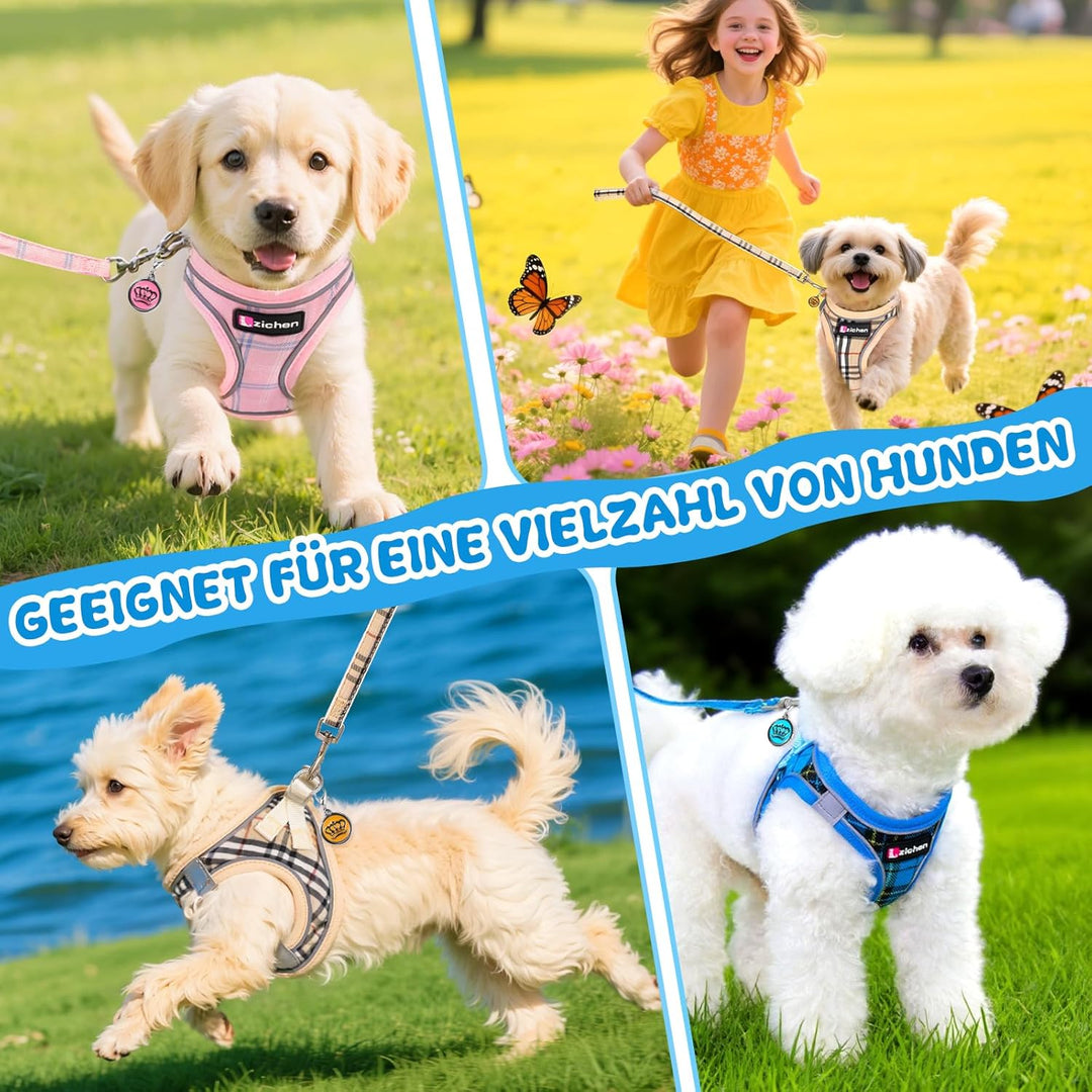 Hundegeschirr Kleine Hunde mit Leine, Verstellbares Step-In Welpengeschirr, Reflektierendes, Atmungs