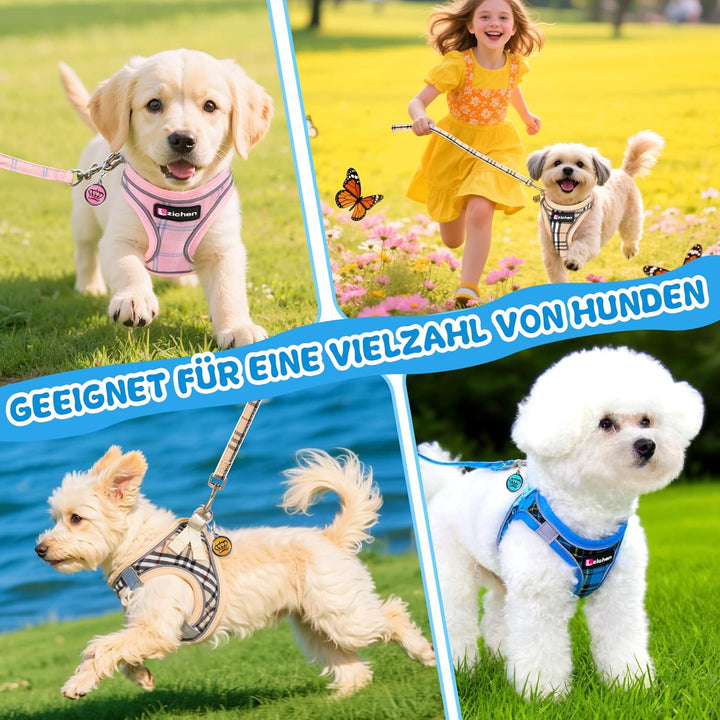 Hundegeschirr Kleine Hunde mit Leine, Verstellbares Step-In Welpengeschirr, Reflektierendes, Atmungs