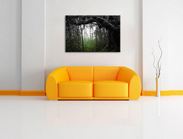Regenwald in seiner ganzen Pracht schwarz/weiss Format: 100x70 auf Leinwand, XXL riesige Bilder fert