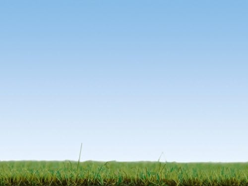 NOCH 8152 Noch 08152 Gras Wiese 120 g, farbig, S