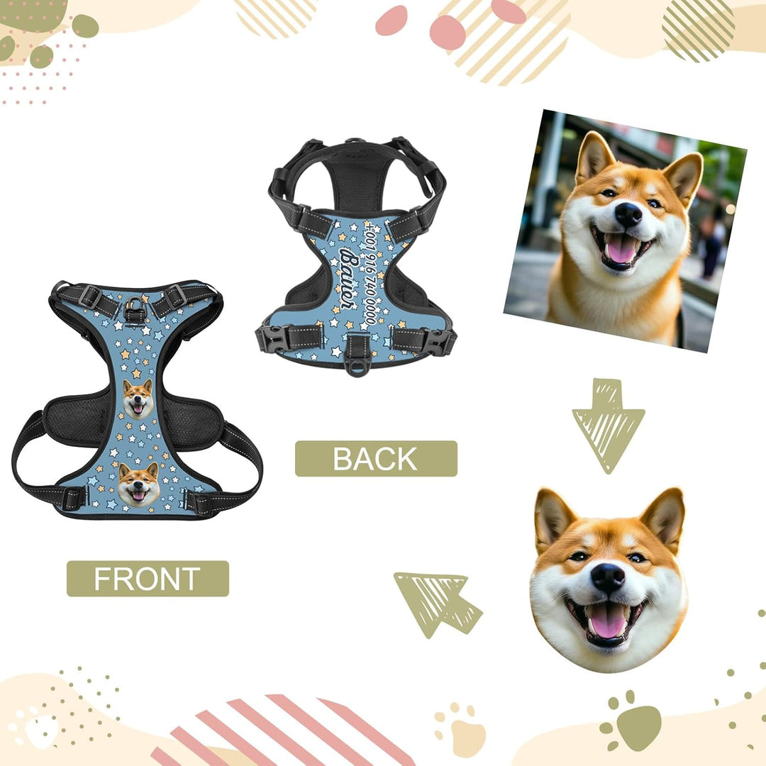 Individuelle Hundegeschir mit Foto und Namen des Tieres, Personalisierte Verstellbare Reflektierende